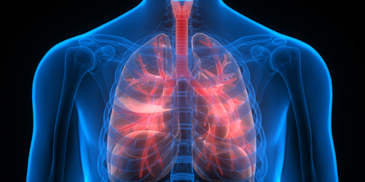 小細胞肺がん患者の今後の見通しはどうなりますか?